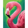 Illustration du profil de naturailes