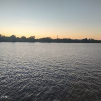 Illustration du profil de nicolas_704