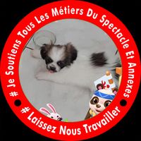 Illustration du profil de bruno10