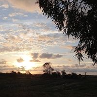 Illustration du profil de laurine_220