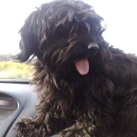 Illustration du profil de Siham_1