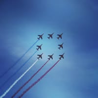 Illustration du profil de ailes_vive