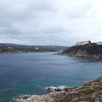 Illustration du profil de Ni ni