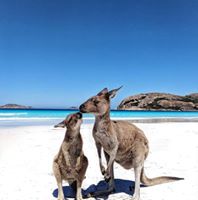 Illustration du profil de soso91740