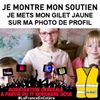 Illustration du profil de Noelleanne