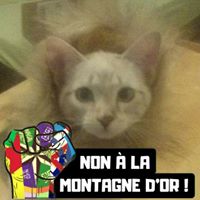 Illustration du profil de Arly