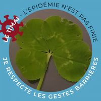 Illustration du profil de Vanessa28500