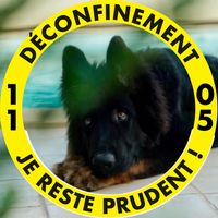 Illustration du profil de FlorenceDV