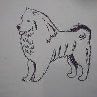 Illustration du profil de brigitte123