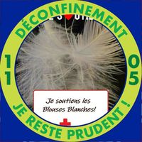 Illustration du profil de grandvoillier3