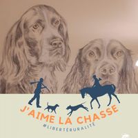 Illustration du profil de Pauledub