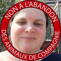 Illustration du profil de Darie