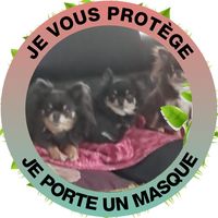 Illustration du profil de dede.c