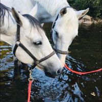 Illustration du profil de Molly