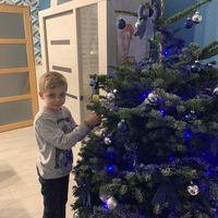 Illustration du profil de tymbidou