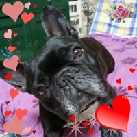 Illustration du profil de celine54370