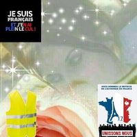 Illustration du profil de angylina