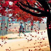 Illustration du profil de lucie0917