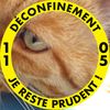 Illustration du profil de fab1954