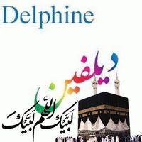 Illustration du profil de delph_6