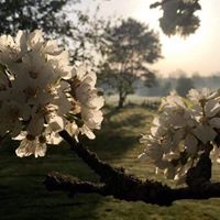 Illustration du profil de 66arum