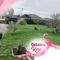 Illustration du profil de jocelyne.szurczec@gmail.com