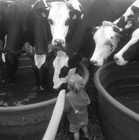 Illustration du profil de marian63@hotmail_fr