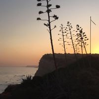 Illustration du profil de domi23400