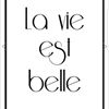 Illustration du profil de sab_12