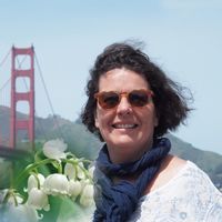 Illustration du profil de flomaur