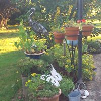 Illustration du profil de mamoub