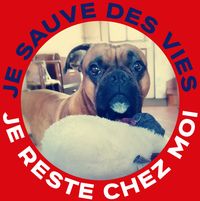 Illustration du profil de Tiesba