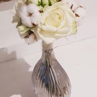 Illustration du profil de cececline2711