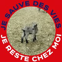 Illustration du profil de celinebzh35