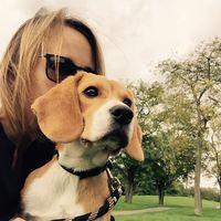 Illustration du profil de julie_m