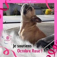 Illustration du profil de louise25