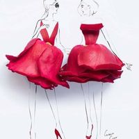 Illustration du profil de manfredi