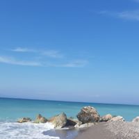 Illustration du profil de aurelie tardif