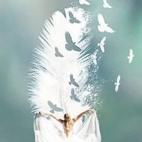 Illustration du profil de Cathy Bourlot
