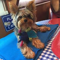 Illustration du profil de Repvi