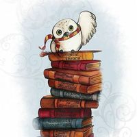 Illustration du profil de lilou_8