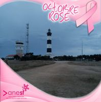 Illustration du profil de martinevialatte