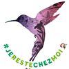 Illustration du profil de colibri11100