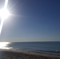 Illustration du profil de Zenobie