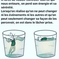 Illustration du profil de edvicath