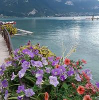 Illustration du profil de lilieludo