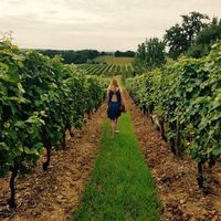 Illustration du profil de mady_1