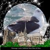 Illustration du profil de Soury
