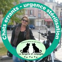 Illustration du profil de BreeBree57