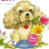Illustration du profil de martine_89